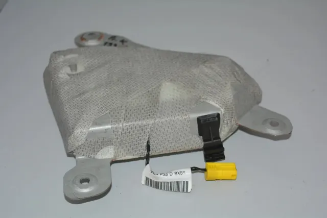 Front Left Door Safety Bag SRS