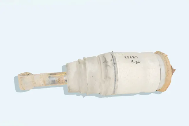 Rear Left Shock Absorber