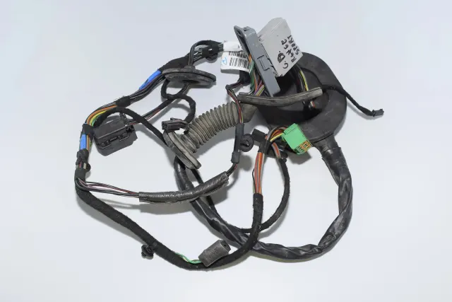 Rear Right Door Wiring
