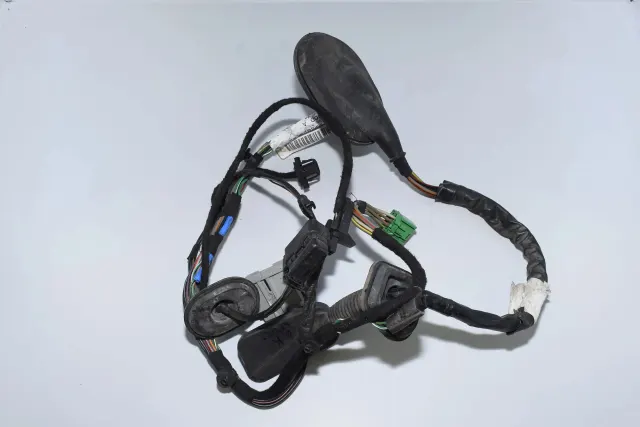 Rear Left Door Wiring