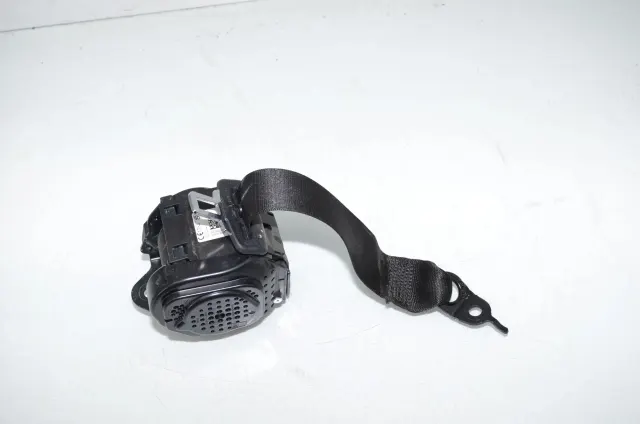 Rear Left Seatbelt