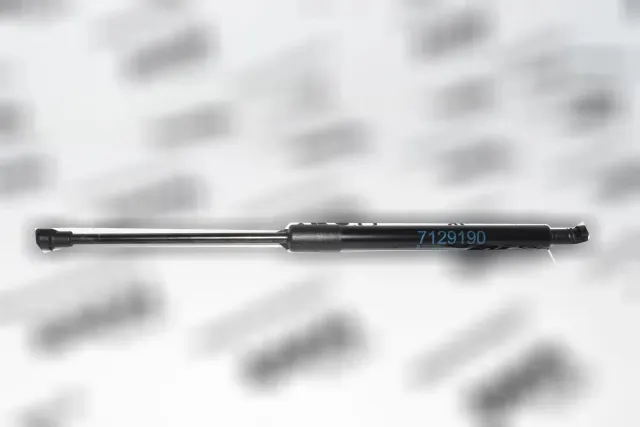 Front Left Bonnet Strut