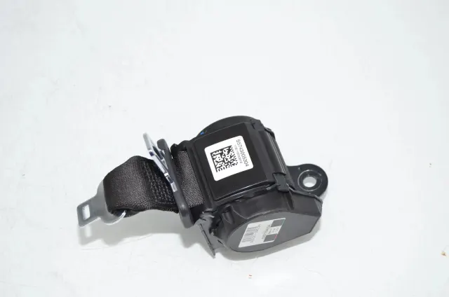 Rear Left Seatbelt