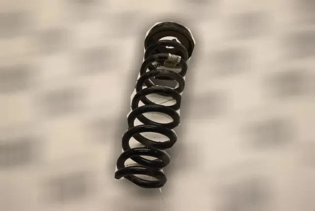 Rear Left Coil Spring