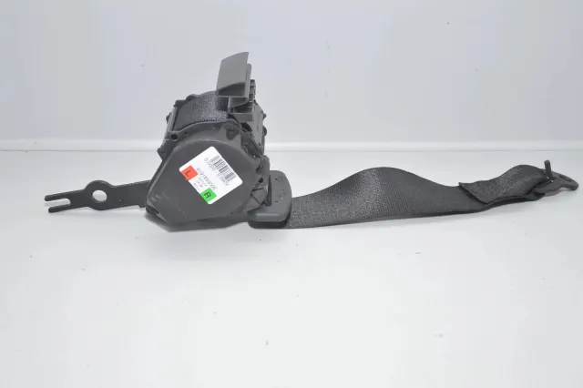 Rear Left Seatbelt