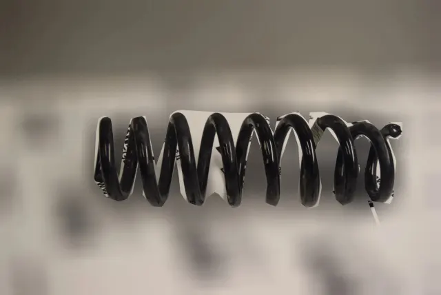 Rear Left Coil Spring