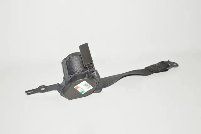Rear Left Seatbelt