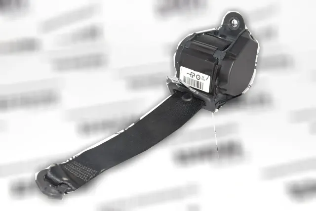 Rear Left Seatbelt
