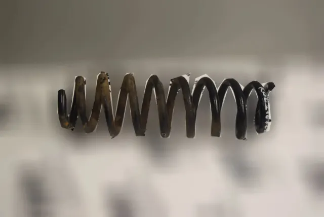 Rear Left Coil Spring
