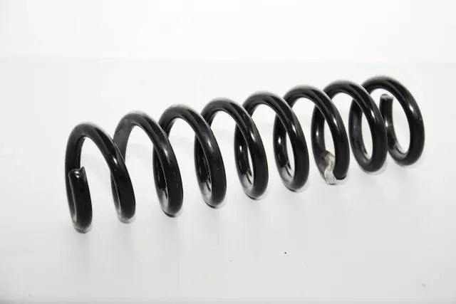 Rear Left Coil Spring