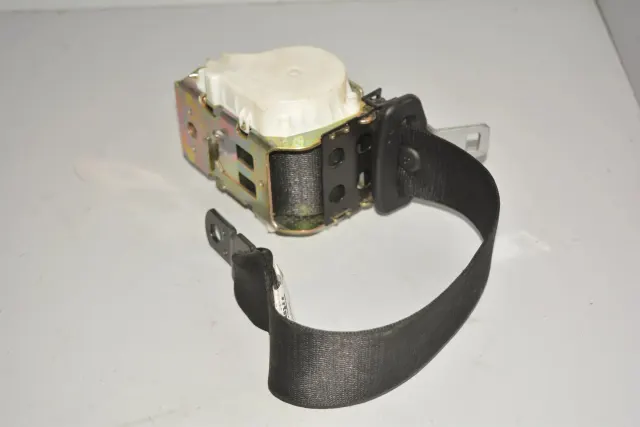 Rear Left Seatbelt