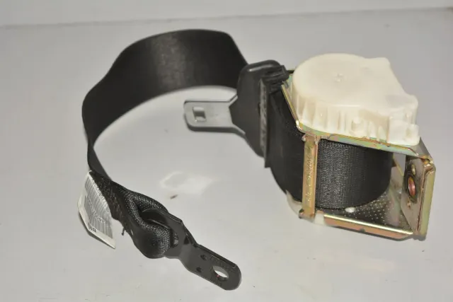 Rear Right Seatbelt