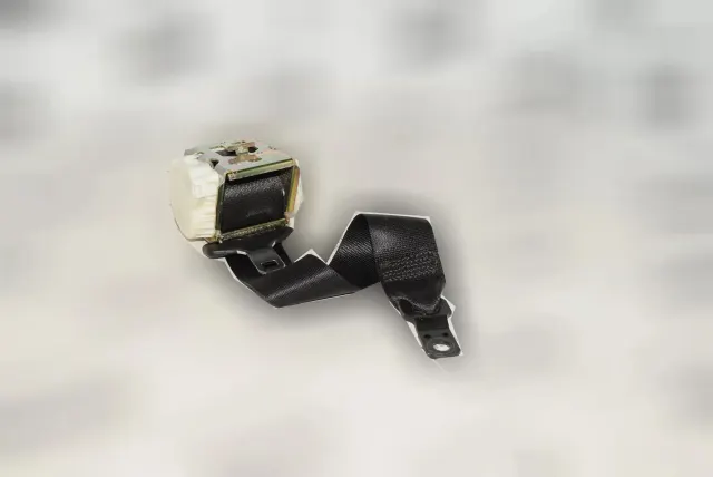 Rear Left Seatbelt