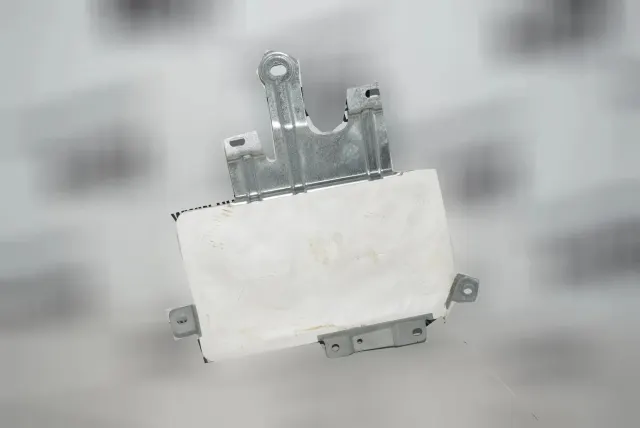 Front Left Door Safety Bag SRS