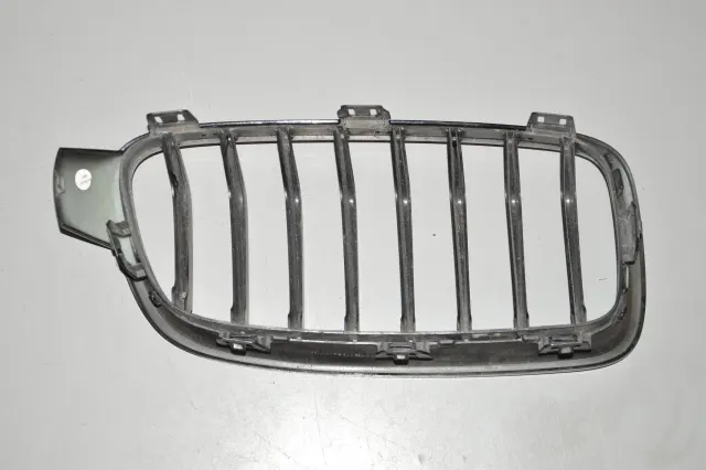 Front Left Grill