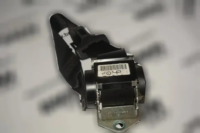 Rear Right Seatbelt
