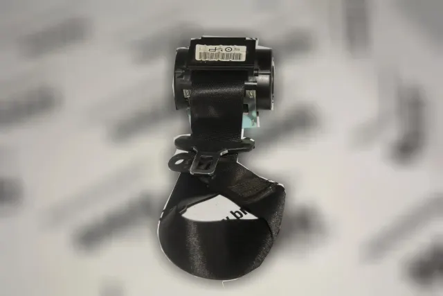 Rear Left Seatbelt