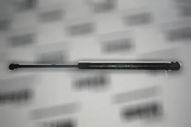 Left Side Tailgate Gas Strut