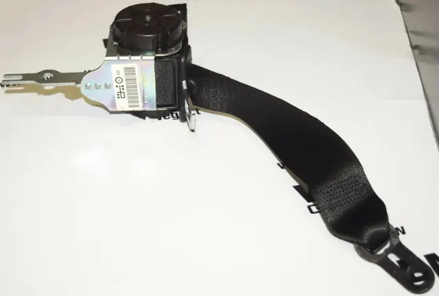 Rear Left Seatbelt