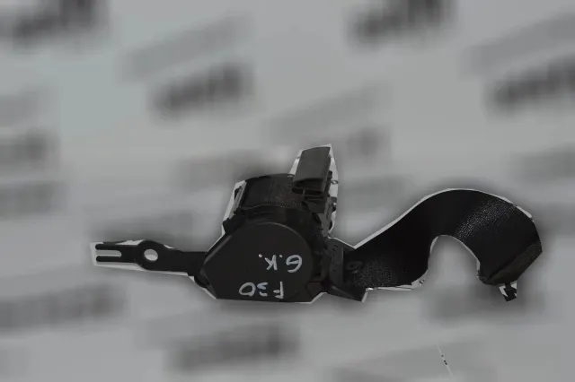 Rear Left Seatbelt