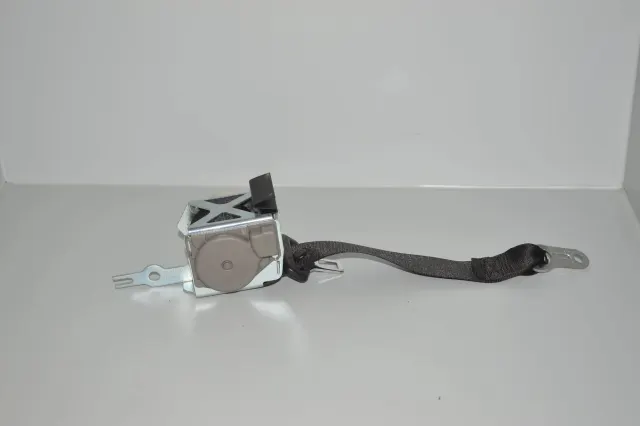 Rear Left Seatbelt