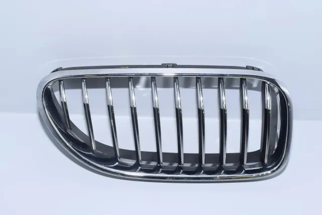 Front Left Grill