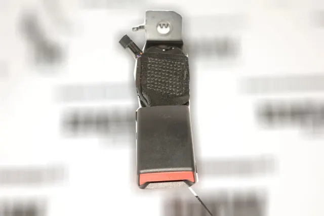 Rear Left Seat Buckle