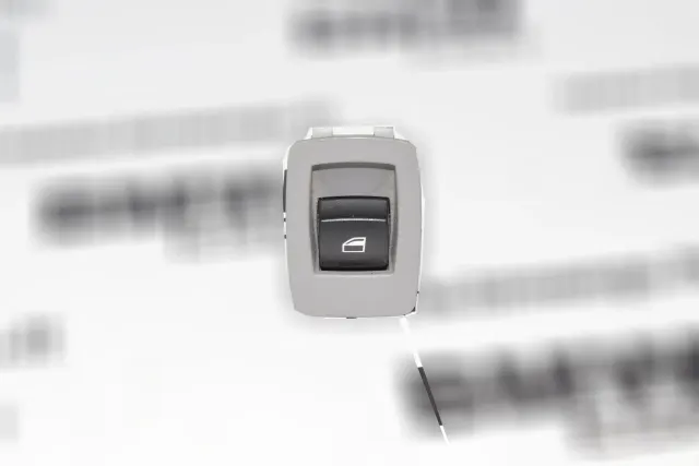 Rear Left Door Window Switch