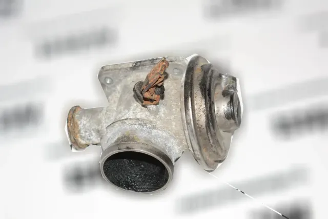 EGR Valve