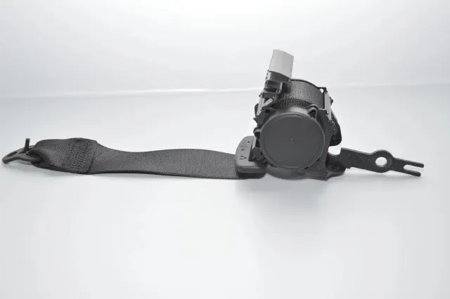 Rear Left Seatbelt