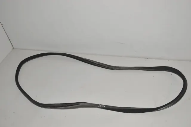 Rear Left Door Seal Rubber