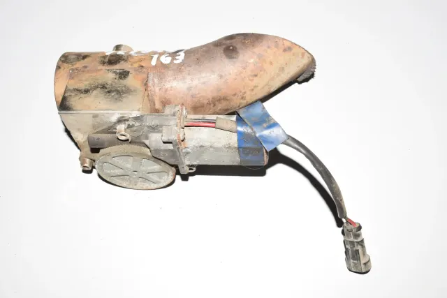 Other Body Parts