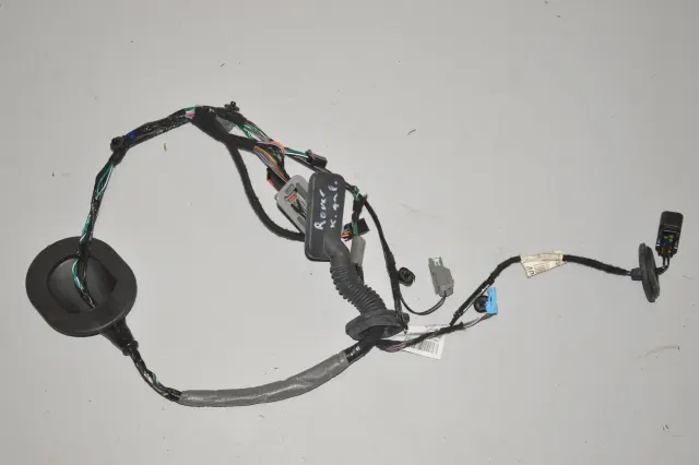 Rear Left Door Wiring