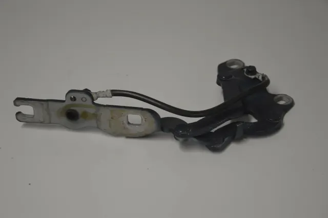 Front Left Bonnet Hinge