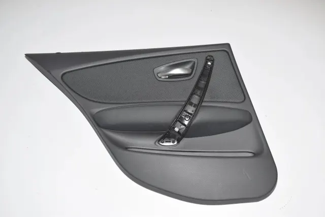 Rear Left Door Panel