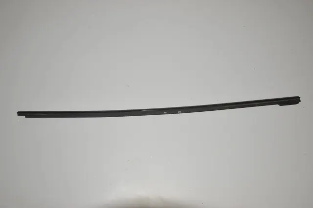 Rear Right Door Window Strip