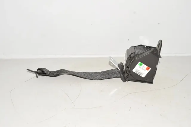 Rear Left Seatbelt