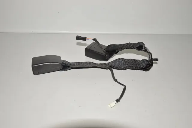 Rear Middle Seat Buckle