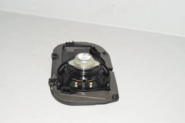 Rear Left Door Speaker