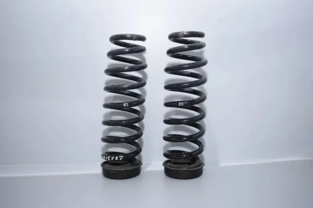 Rear Left Coil Spring