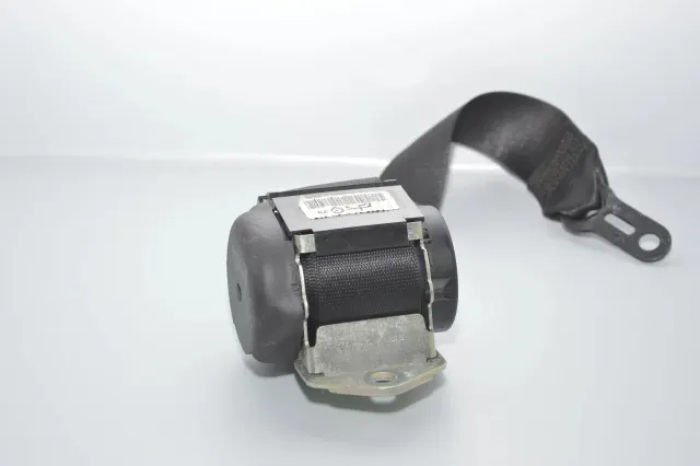 Rear Left Seatbelt