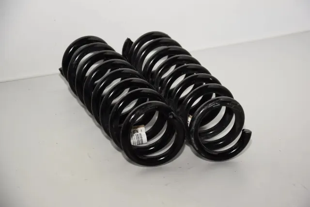 Rear Left Coil Spring