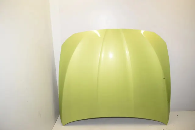 Bonnet Hood