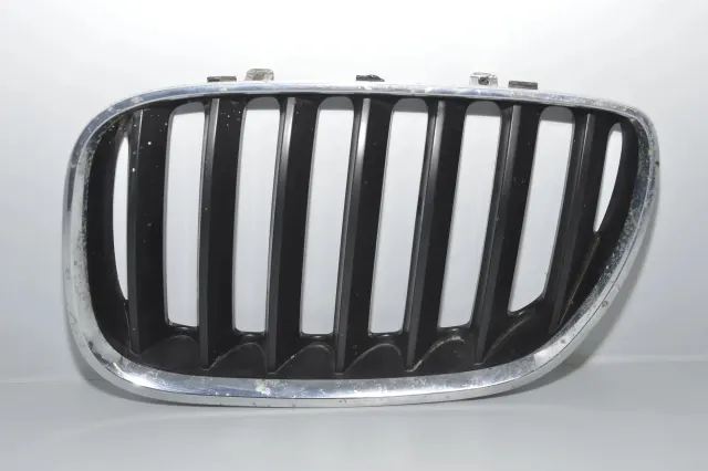 Front Left Grill