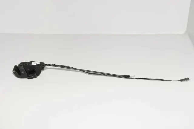 Rear Left Door Lock