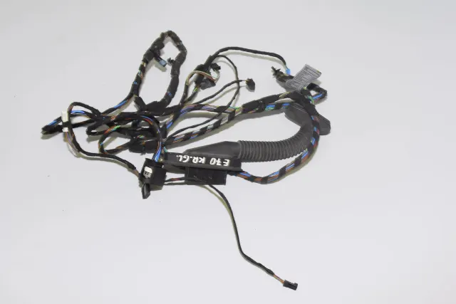 Rear Left Door Wiring