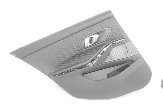 Rear Left Door Panel