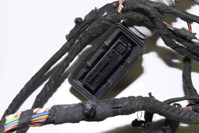 Rear Left Door Wiring
