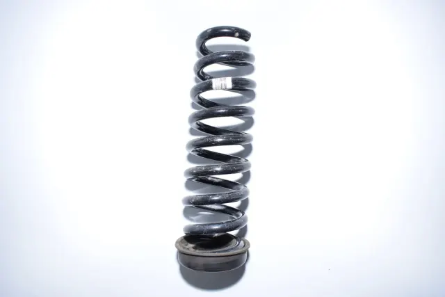 Rear Left Coil Spring
