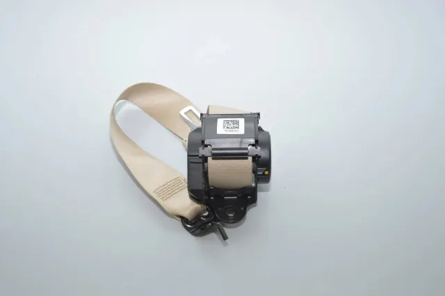 Rear Left Seatbelt